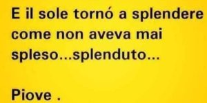 FB_IMG_1681388554424.jpg