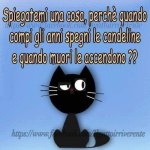 FB_IMG_1681484633235.jpg