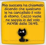 FB_IMG_1681405874503.jpg