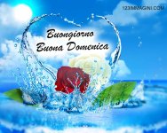 buongiorno-buona-domenica (1).jpg