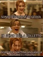 FB_IMG_1681665831359.jpg
