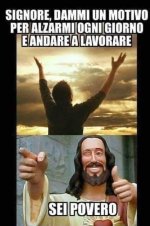 FB_IMG_1681646300638.jpg