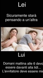 FB_IMG_1681637133305.jpg