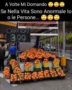 FB_IMG_1681637066600.jpg