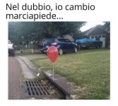 FB_IMG_1681575993282.jpg