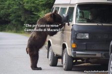 FB_IMG_1681561098779.jpg