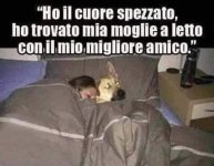 FB_IMG_1681802295264.jpg