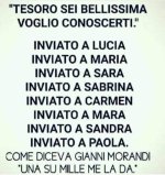 FB_IMG_1681539884545.jpg