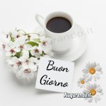 Immagini Buongiorno Meravigliose_ Uniche e sempre aggiornate!.jpeg