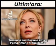 FB_IMG_1682010866126.jpg
