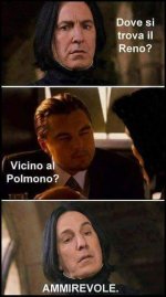 FB_IMG_1682168800539.jpg