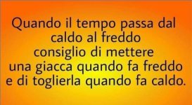 FB_IMG_1682163132866.jpg