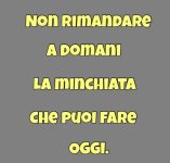 FB_IMG_1682151855597.jpg