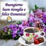 FB_IMG_1682223009672.jpg