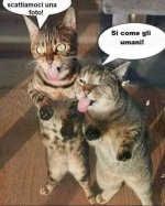 FB_IMG_1682105641777.jpg