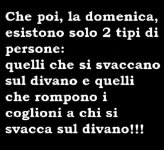 FB_IMG_1682270607954.jpg
