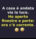 FB_IMG_1682241635827.jpg
