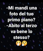 FB_IMG_1682236749518.jpg