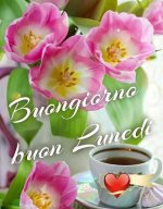FB_IMG_1682304946378.jpg