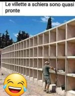 FB_IMG_1682421445224.jpg