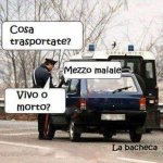 FB_IMG_1682421315665.jpg