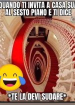 FB_IMG_1682403881064.jpg