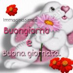 IMG-20230427-WA0000.jpg