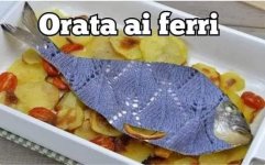 FB_IMG_1682614339407.jpg