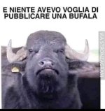 FB_IMG_1682614320741.jpg