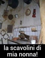 FB_IMG_1682659044804.jpg