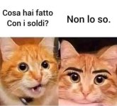 FB_IMG_1682699248501.jpg