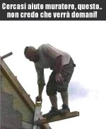 FB_IMG_1682739815288.jpg
