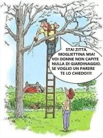 FB_IMG_1682844961973.jpg