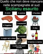 FB_IMG_1682891227827.jpg