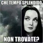 FB_IMG_1682961801883.jpg