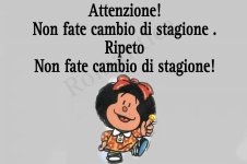 FB_IMG_1682943299531.jpg