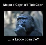 FB_IMG_1683041573451.jpg