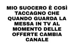 FB_IMG_1683125118734.jpg