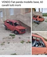 FB_IMG_1683108657662.jpg