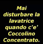 FB_IMG_1683199343655.jpg