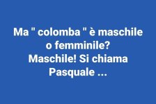 FB_IMG_1683273241555.jpg