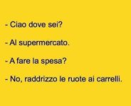 FB_IMG_1683273046536.jpg
