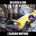 FB_IMG_1683183385326.jpg