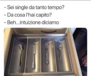 FB_IMG_1683301167877.jpg