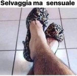 FB_IMG_1683369471307.jpg