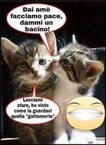 FB_IMG_1683384463624.jpg