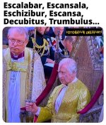 FB_IMG_1683482256501.jpg