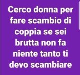 FB_IMG_1683366124742.jpg