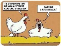 FB_IMG_1683648757644.jpg