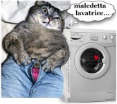 FB_IMG_1683581345144.jpg